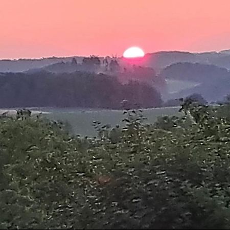 Ferienwohnung Und Monteurwohnung Matthies Naehe Koeln 30Km Kurten Luaran gambar