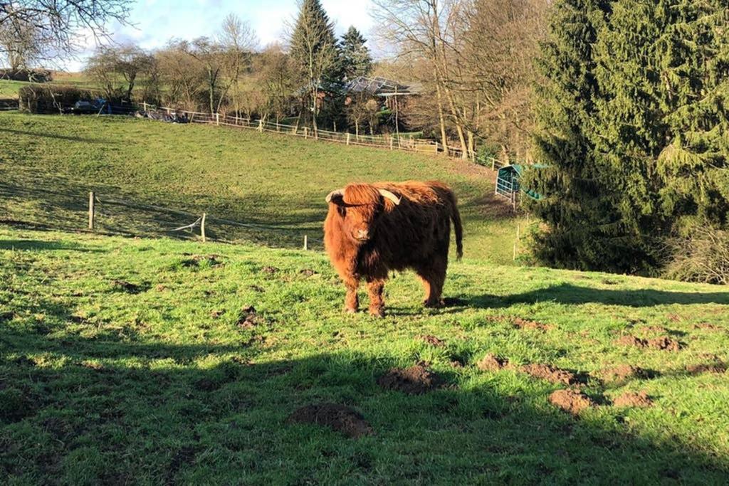 Ferienwohnung Und Monteurwohnung Matthies Naehe Koeln 30Km Kurten Luaran gambar